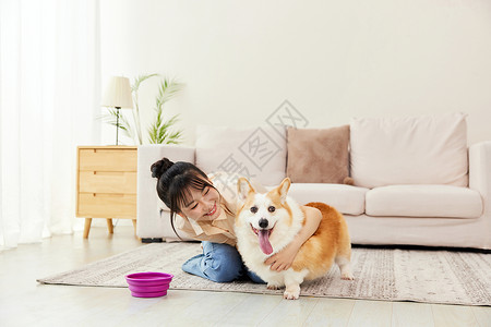 居家女性给宠物犬喂水喝高清图片