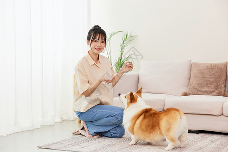 居家女子给爱宠喂冻干零食形象图片素材