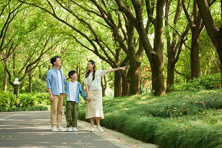 公园散步欣赏美景的一家人图片
