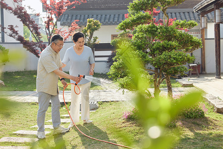 老年夫妻在院子里给植物浇水图片