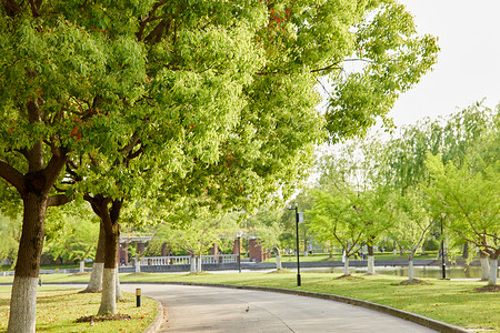 大学校园环境背景图片