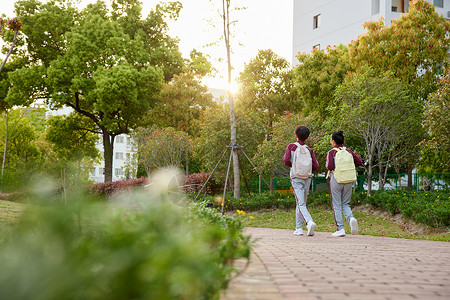 小男孩上学校园里小学生放学背影背景