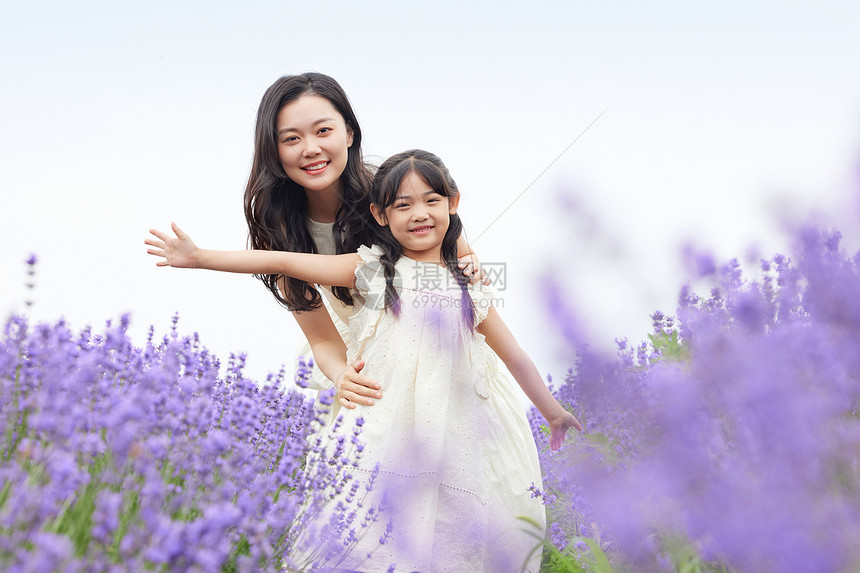 薰衣草花田里开心的母女图片