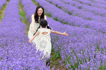 小孩子奔跑薰衣草花海里的小女孩跑向母亲背景