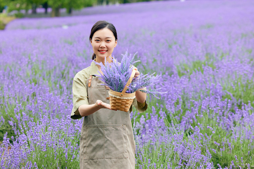 女性展示一筐薰衣草图片