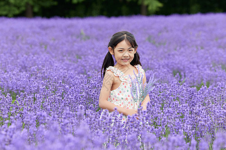 一束紫色花女孩手拿一束薰衣草形象背景