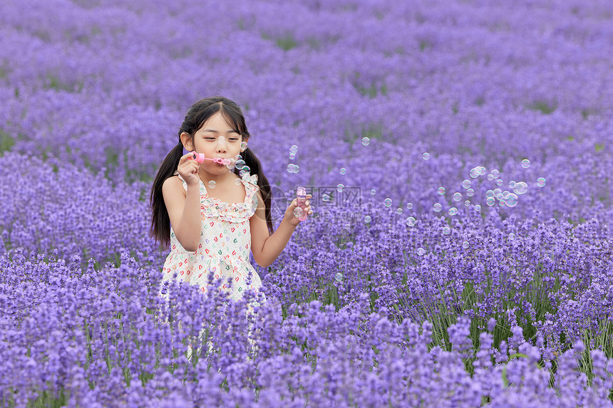 小女孩在薰衣草花丛中吹泡泡图片