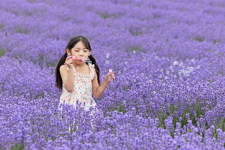 小女孩拿花小女孩在薰衣草花丛中吹泡泡背景