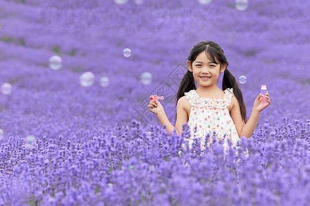 夏季暑假小女孩在薰衣草花田里吹泡泡背景