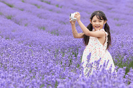 小女孩拿花可爱小女孩在薰衣草花园手拿照相机背景