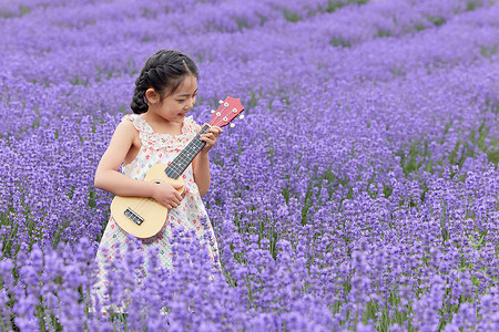 暑假尤克里里班小女孩站在薰衣草花海里弹奏尤克里里背景