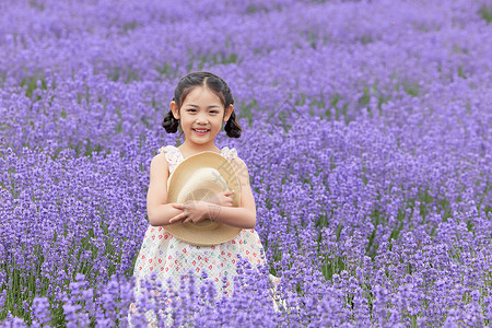 夏天女孩抱雪糕薰衣草花丛中抱着帽子的小女孩背景