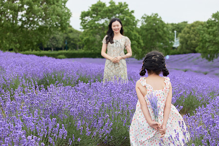 夏季送清凉女儿给母亲送一束薰衣草背景