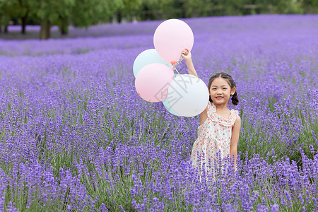 手拿花的小女孩小女孩手拿气球在薰衣草花田玩耍背景
