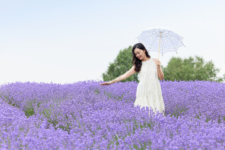 撑着阳伞走在薰衣草花田的女性高清图片