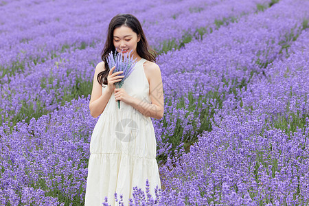 一束紫色花捧着一束薰衣草的美女背景