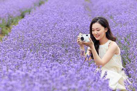 花园拍摄女性使用相机拍摄薰衣草背景