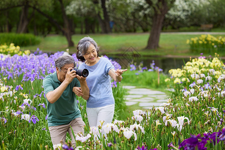 花园拍摄老夫妻在花丛中拍照背景