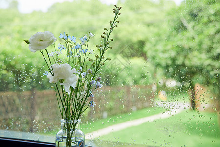 中国风扇子花朵雨后的窗边花朵背景