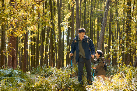 秋天出游在树林中徒步的父子背景
