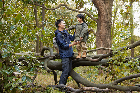 父子玩乐带着儿子爬树的父亲背景