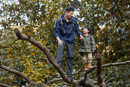父子玩乐带着儿子爬树探险的父亲背景