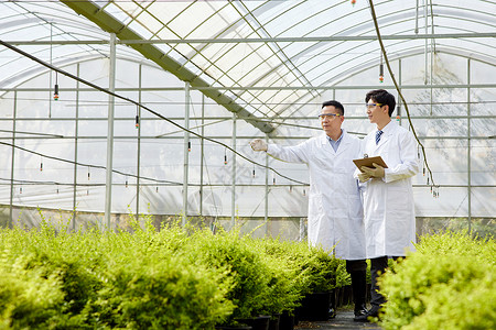 竞品调研科研团队参观种植园基地背景