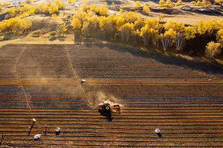 航拍内蒙农民在田地里耕地高清图片
