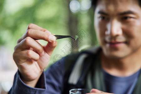 户外提取大树标本的科研人士背景