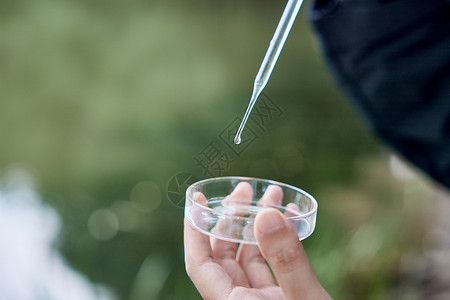 使用培养皿检测水质背景图片