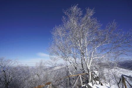 东北雪谷风景区高清图片