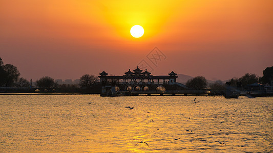 海鸥psd无锡鼋头渚太湖仙岛日落背景