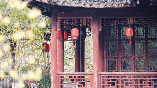 新年腊梅花映衬下的古建筑和灯笼高清图片