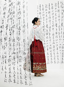 书法字体背景下的马面裙美女背景图片