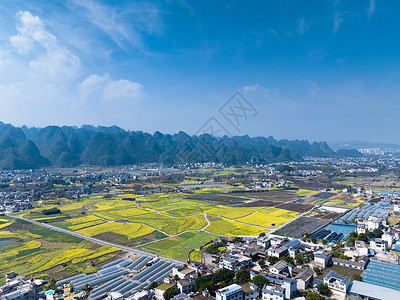 航拍贵州万峰林油菜花风光高清图片