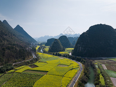 航拍油菜花航拍贵州万峰林油菜花风光背景