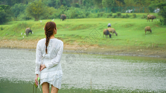 夏天树林安吉小杭坑绿色草地女孩踏青背影背景