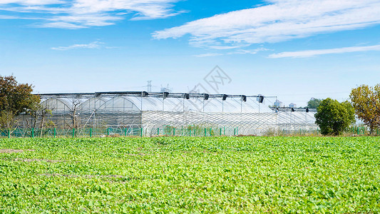 农村种植农业大棚和菜地背景