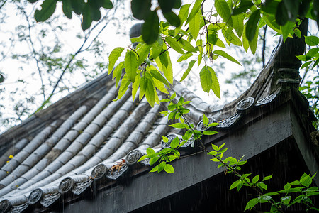 手绘惊蛰春天雨水背景