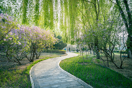 北京莲花池公园春天北京陶然亭公园背景