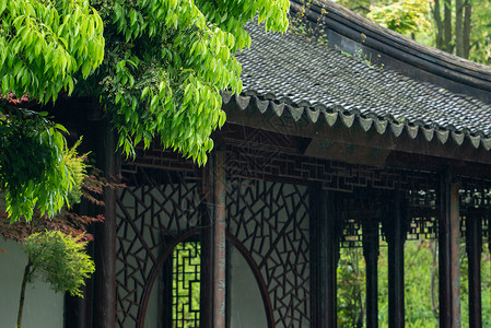 春天雨水背景图片