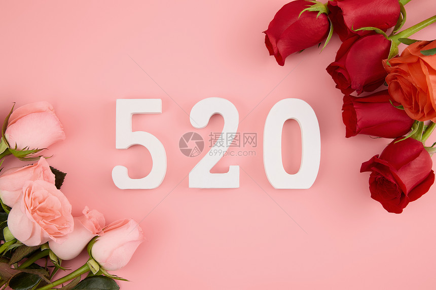 520红粉玫瑰对放朋友圈背景图图片