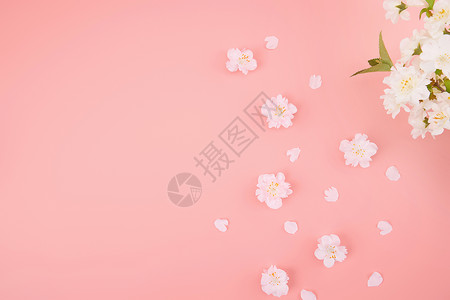 樱花卡通可爱粉色小樱花背景图背景