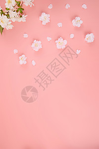 求带可爱素材可爱粉色小樱花背景图背景
