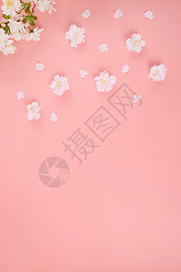 可爱花朵粉色背景上的樱花花朵和花瓣背景