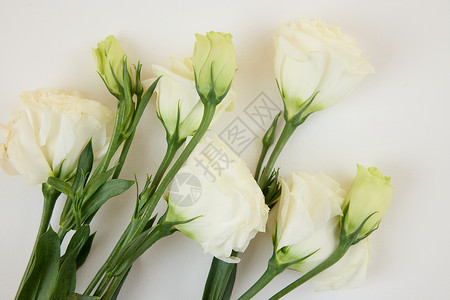 520白色玫瑰花花束背景图片