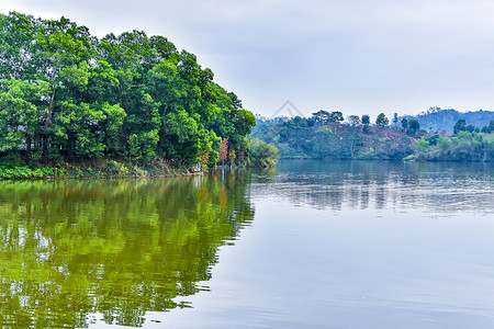 湖边树林湖边绿植风光背景