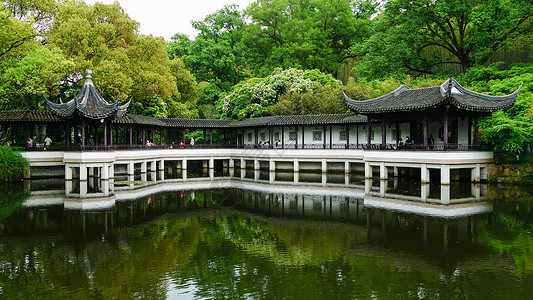 水植物江南园林亭林园春日风光背景