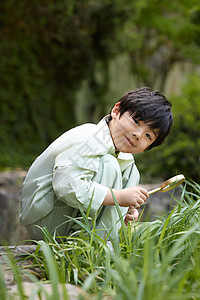拿着板栗的小男孩小男孩在植物园拿着放大镜观察植物背景