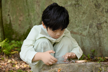 追蝴蝶小男孩小男孩在植物园拿着放大镜观察蝴蝶标本背景